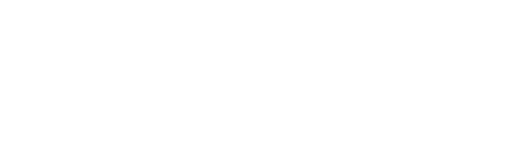 partisan