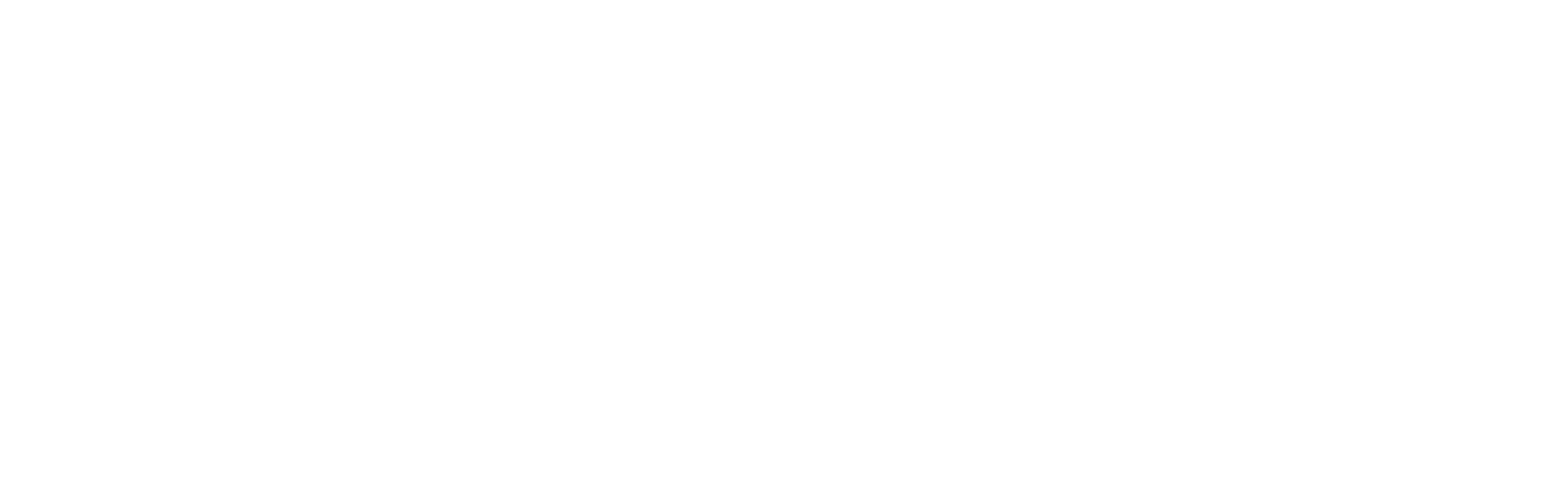 partisan
